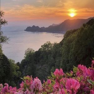 Meet your Posher, Kyla